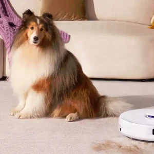 Capture d’écran 2026-03-06 193134